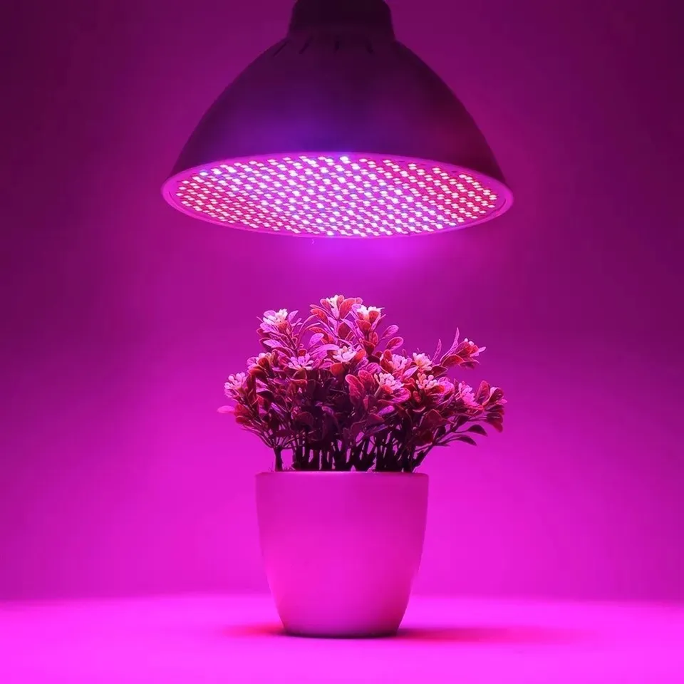 full spectrum led grow light bulbs 5