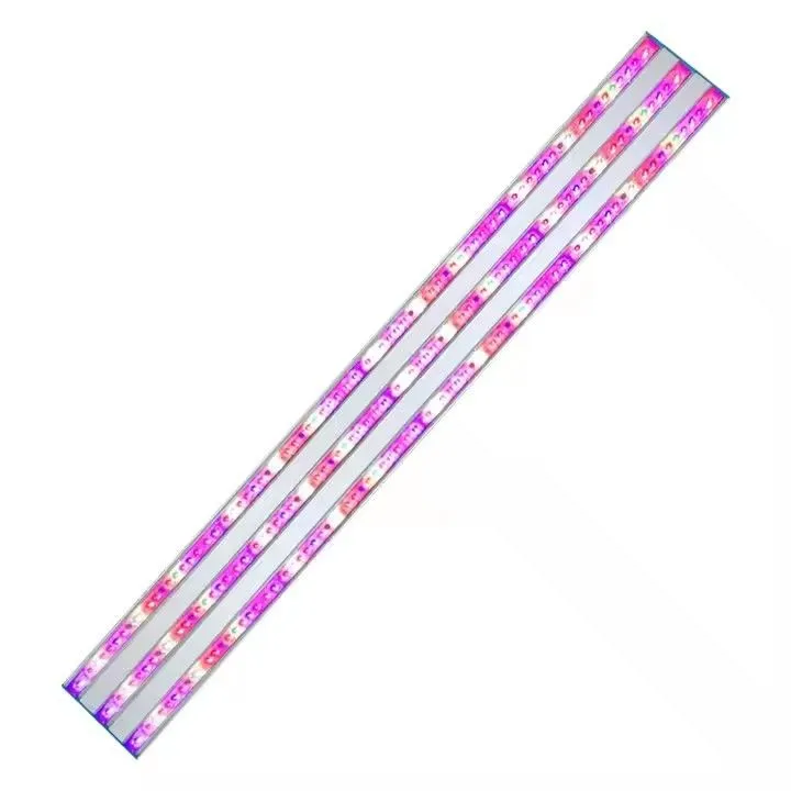 leds indoor quantum board 02(001)