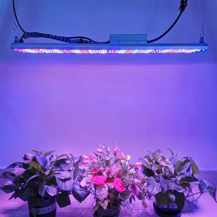 leds indoor quantum board 04(001)